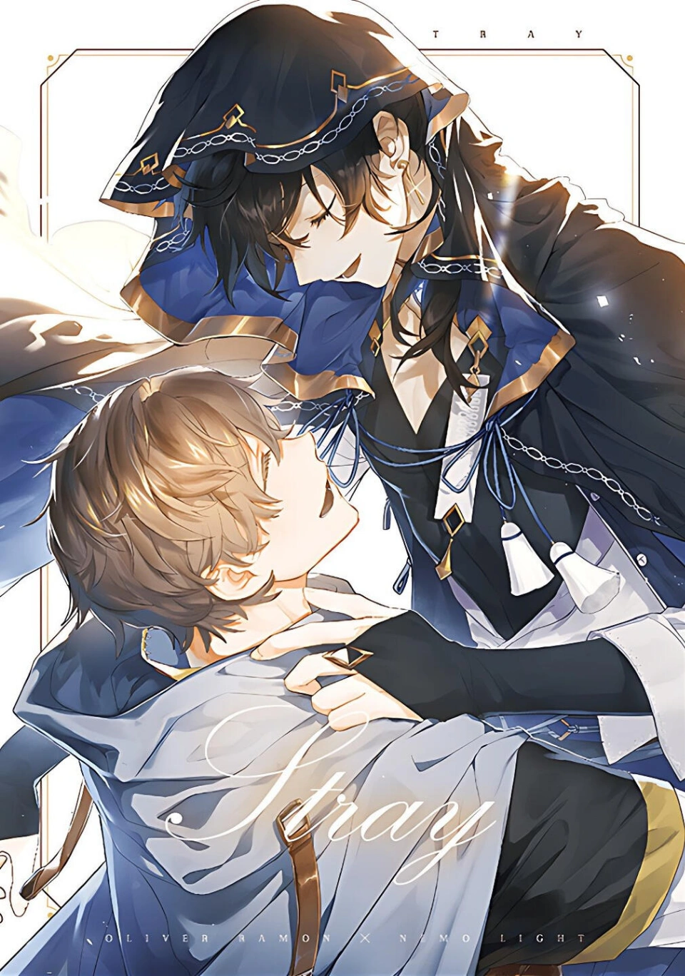 Stray